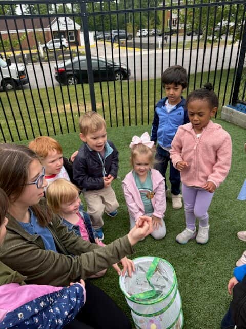 Butterfly Release