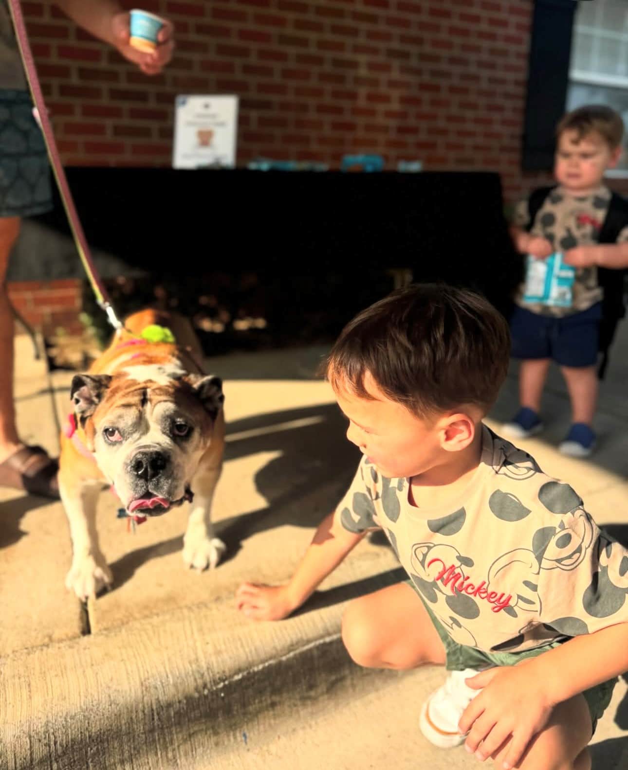 Welcomed our Primrose pups for National Dog Day! 