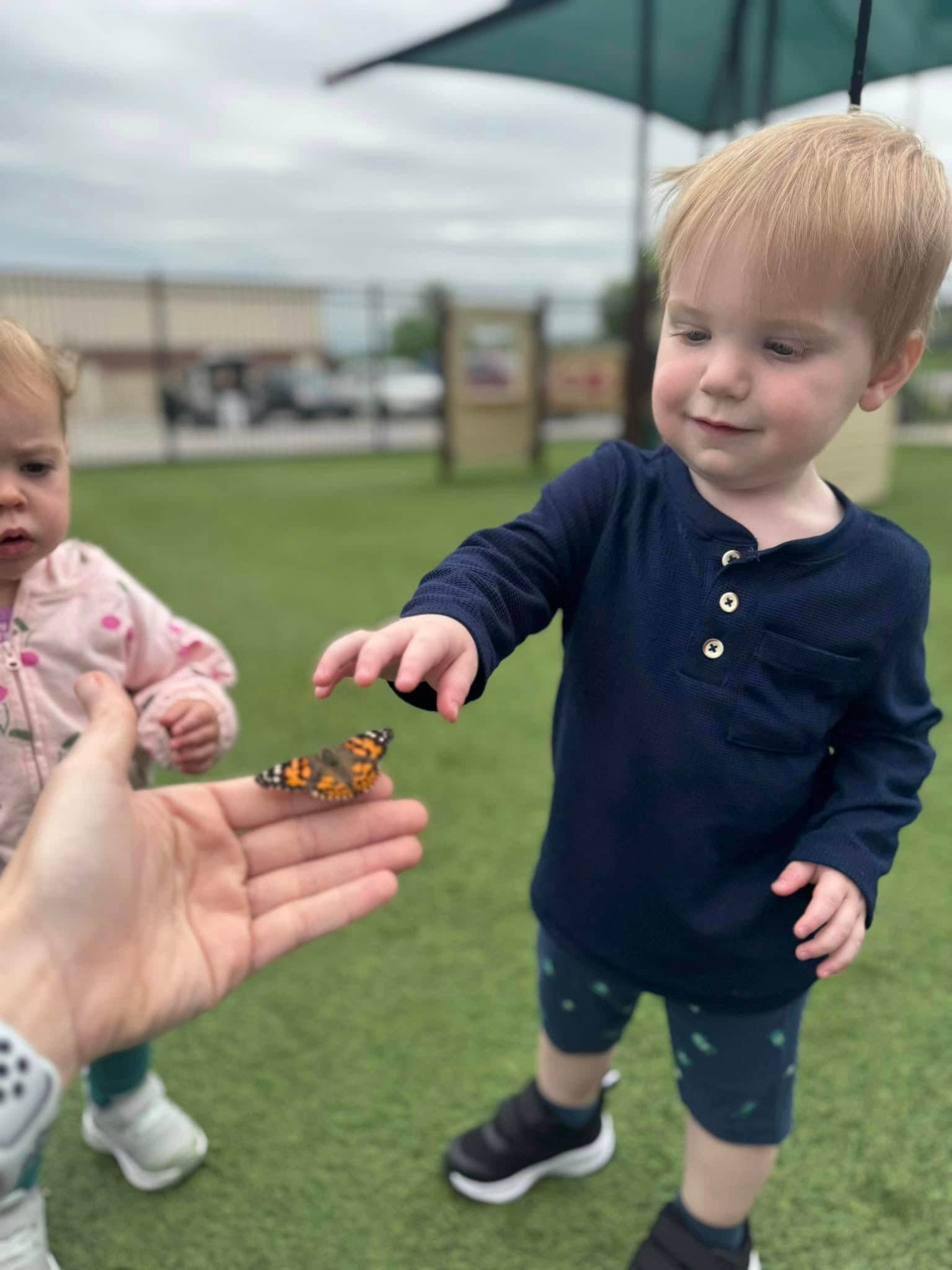 Toddler Curriculum