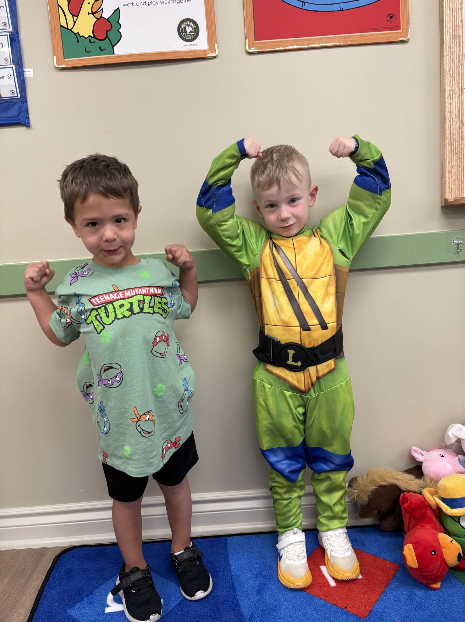Turtles
