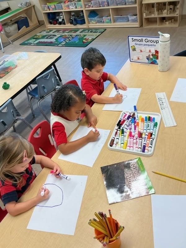 Pre-K 2 Project Time Creating a Detailed Drawing Learning Summary: Support the children to explore what it means to add details to their drawings.
