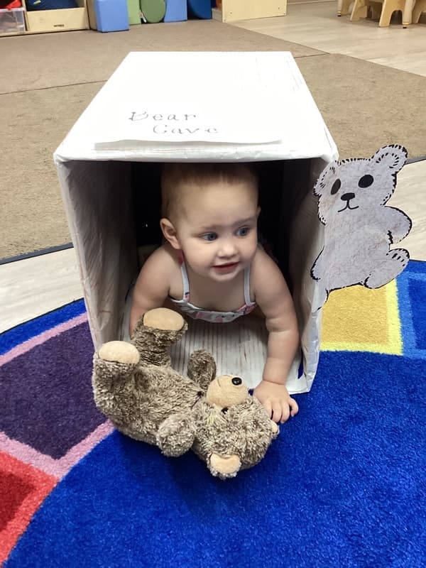 Bear Cave