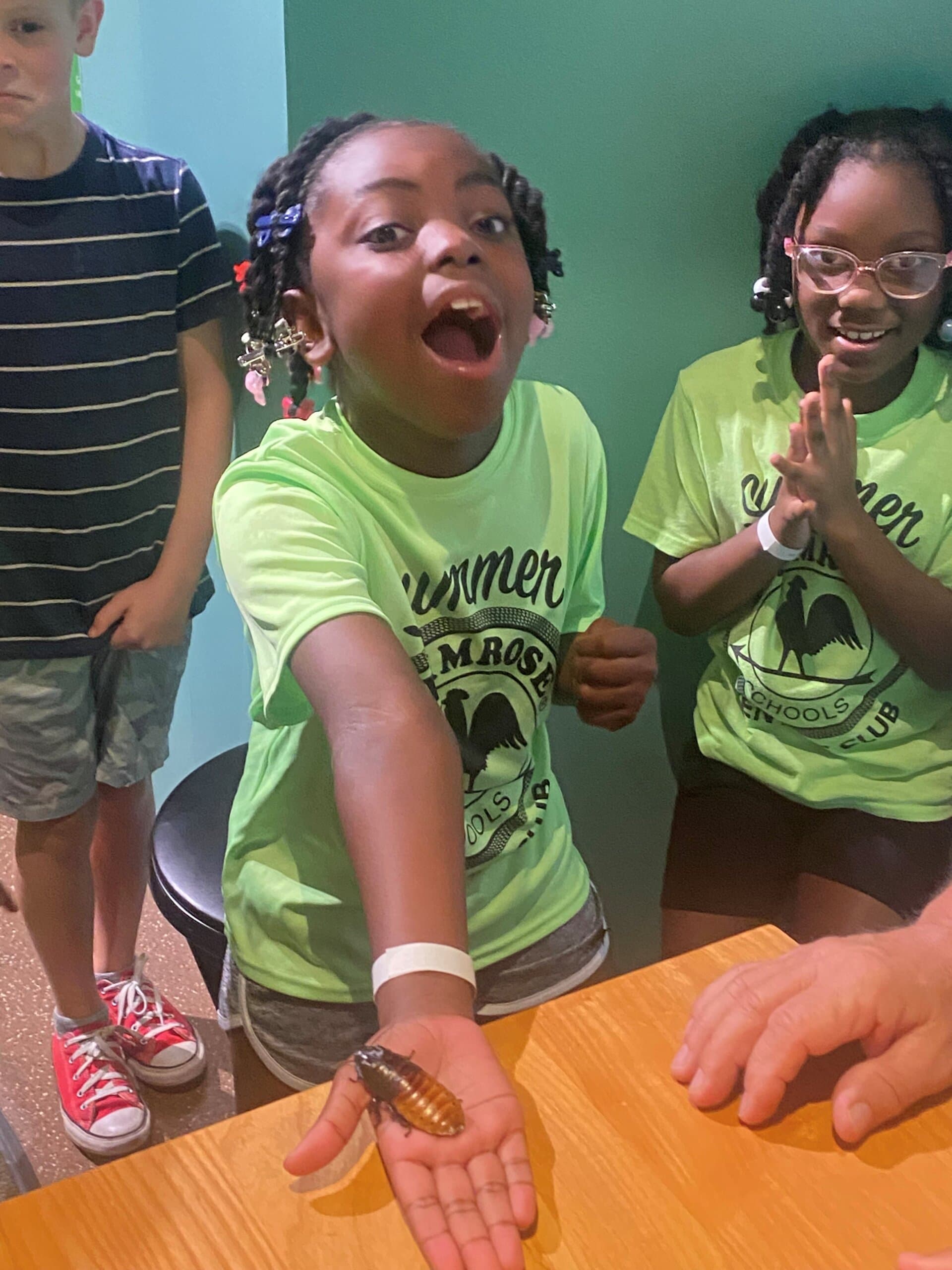bug, field trip, summer camp