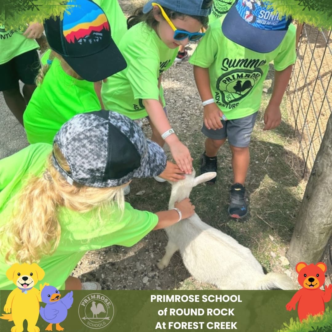 Primrose School of Round Rock at Forest Creek summer campers petting a baby goat during an educational farm field trip.