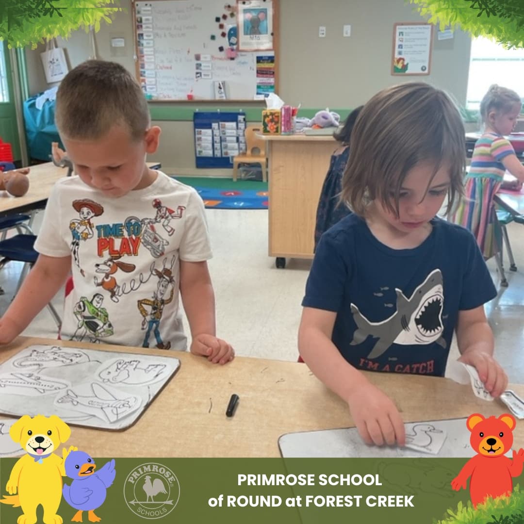 Preschool students at Primrose School of Round Rock at Forest Creek participating in a hands-on classroom learning activity with matching and sorting exercises.
