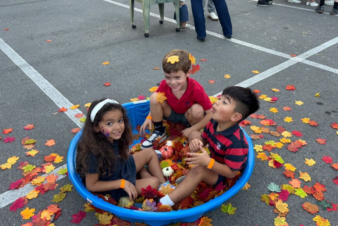 Fall Fest