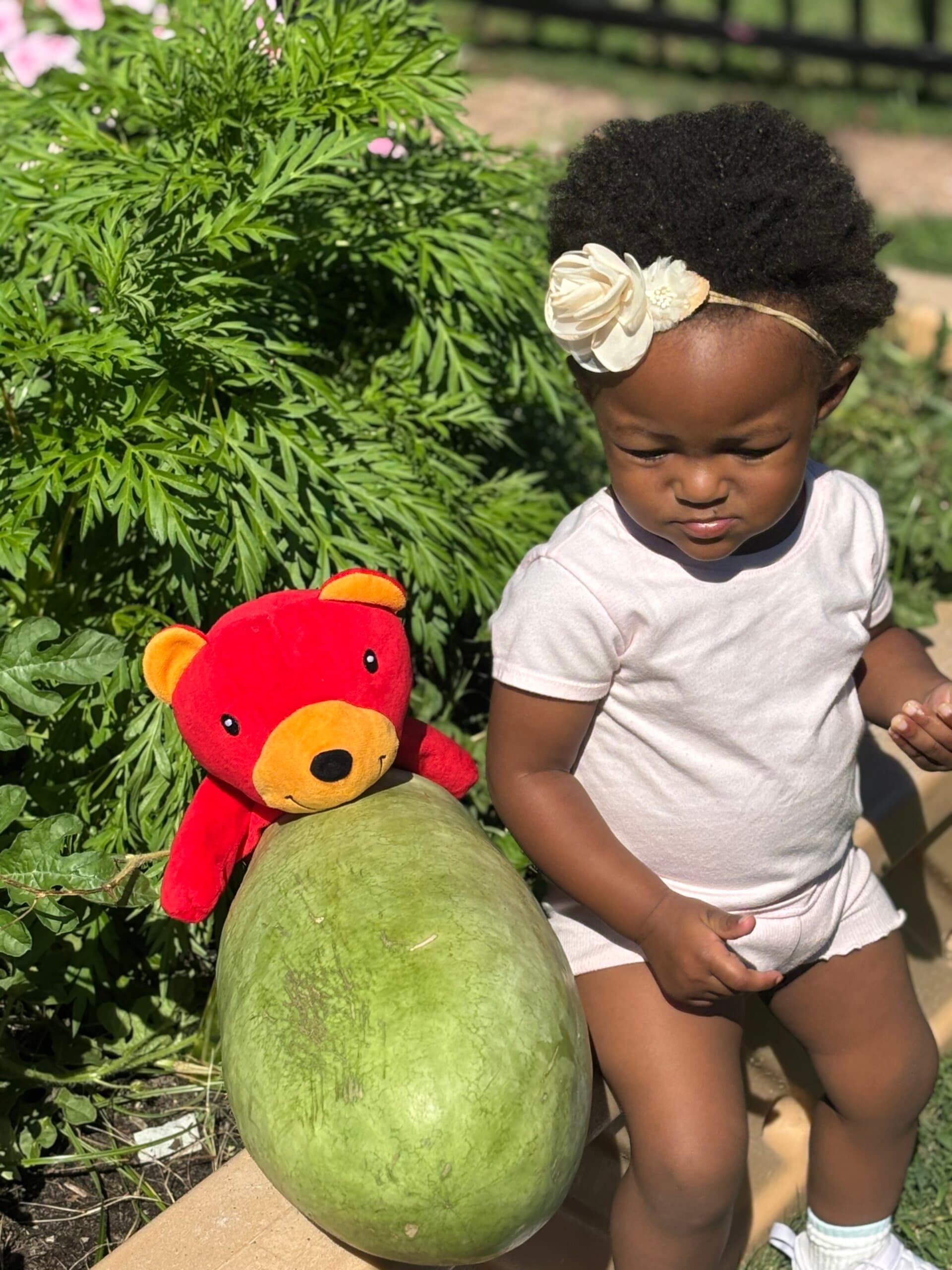 Young Toddler Balanced Learning