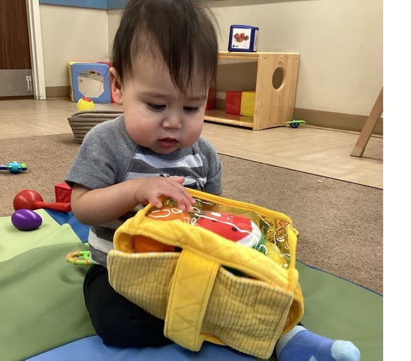 Infant Picnic