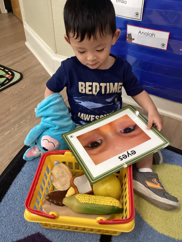 Pathways Preschool, Lewisville, TX Primrose School of North Lewisville 