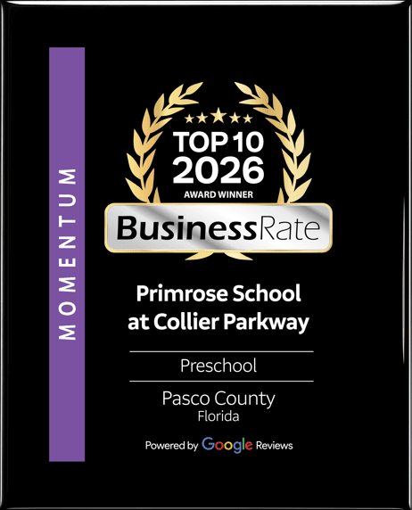 Top 10 Best Preschools in Pasco County featuring Primrose School, early childhood education, daycare, VPK, preschool programs, and childcare services in Pasco County, Florida.