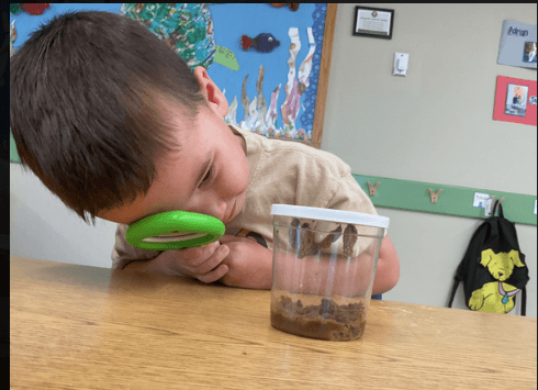Preschool Pathways Butterfly Discovery 