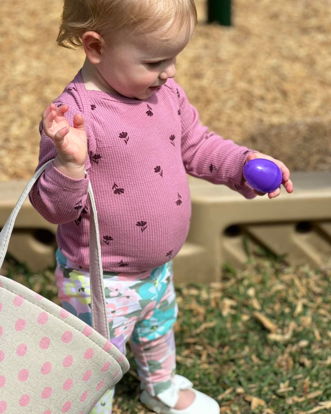 Easter Egg, Hunt, Toddler, Daycare, Event
