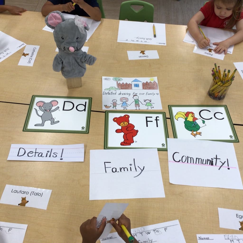 Curriculum