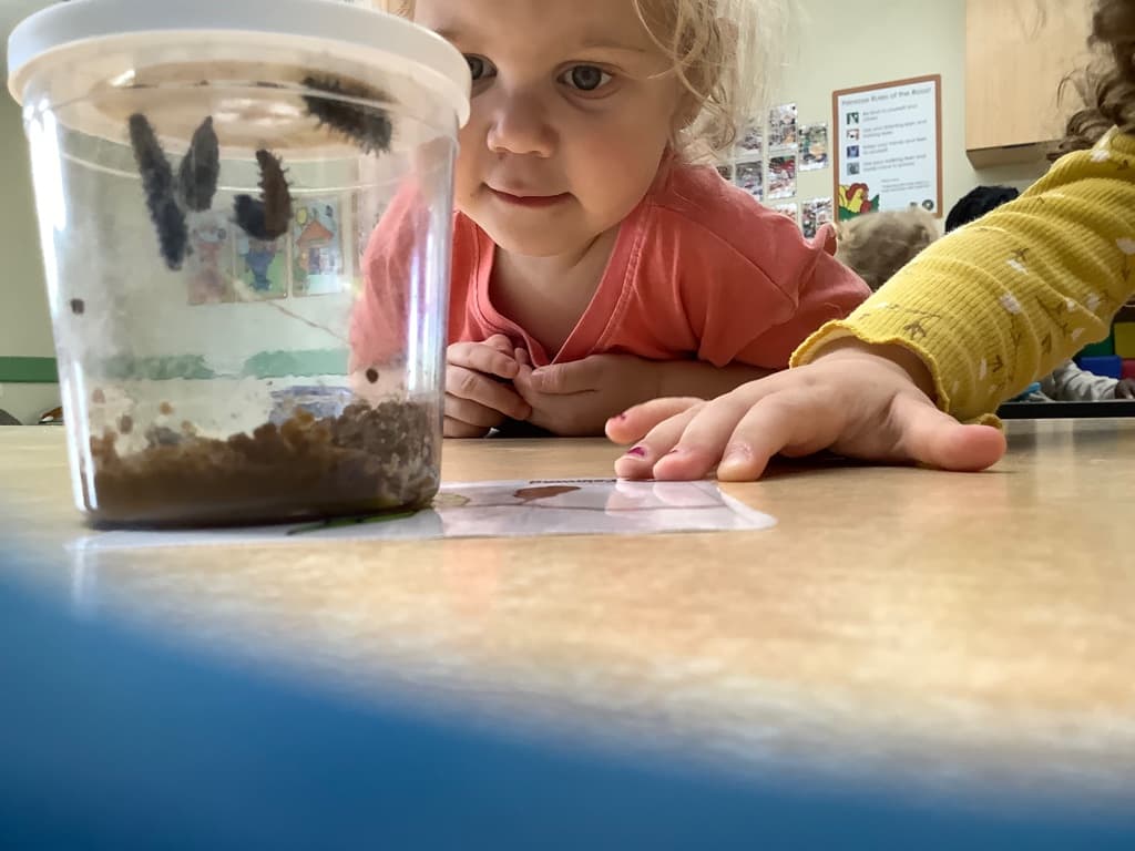 Early Preschool