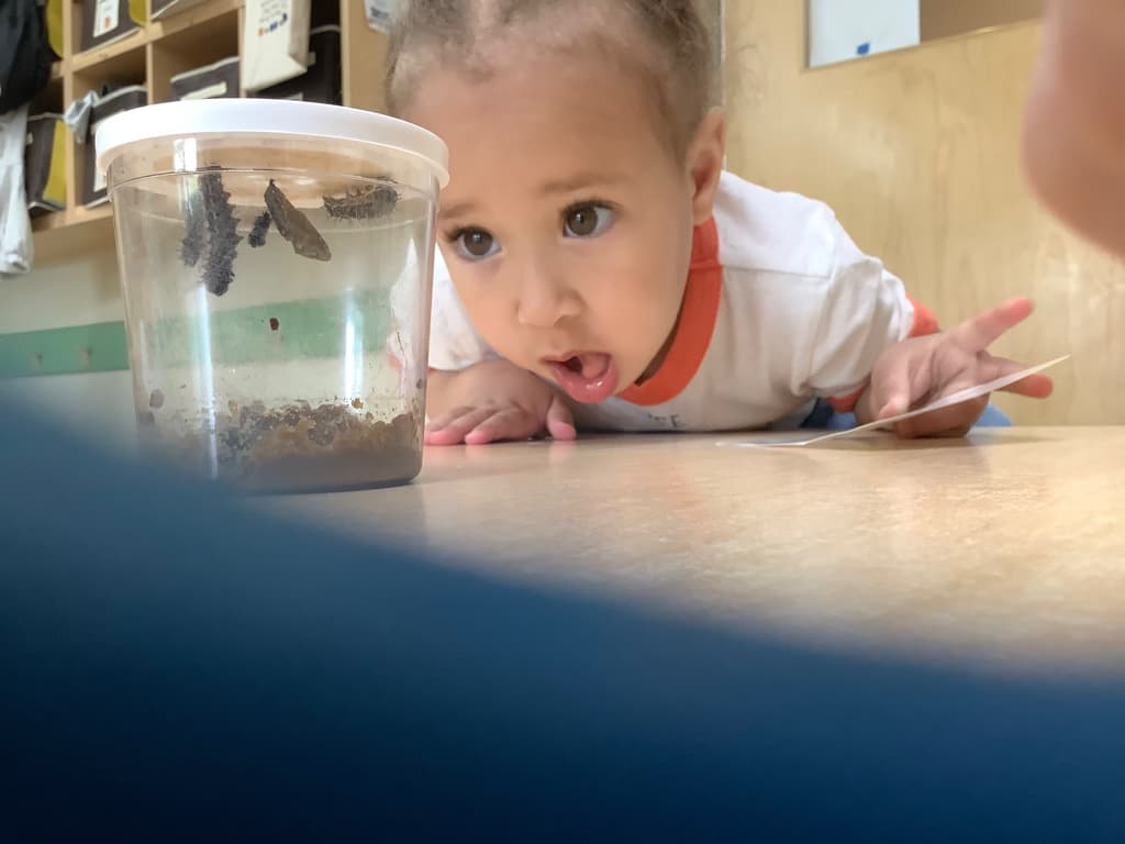 Early Preschool
