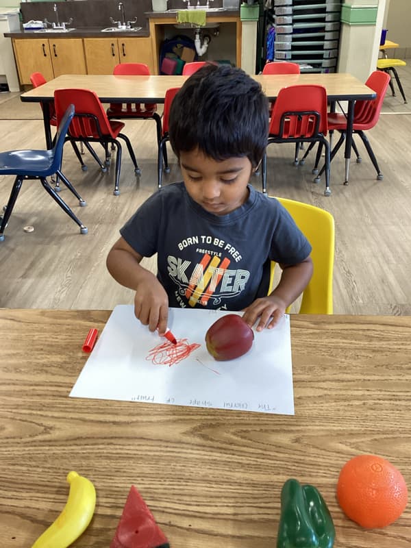 Pathways Preschool, Lewisville, TX Primrose School of North Lewisville 