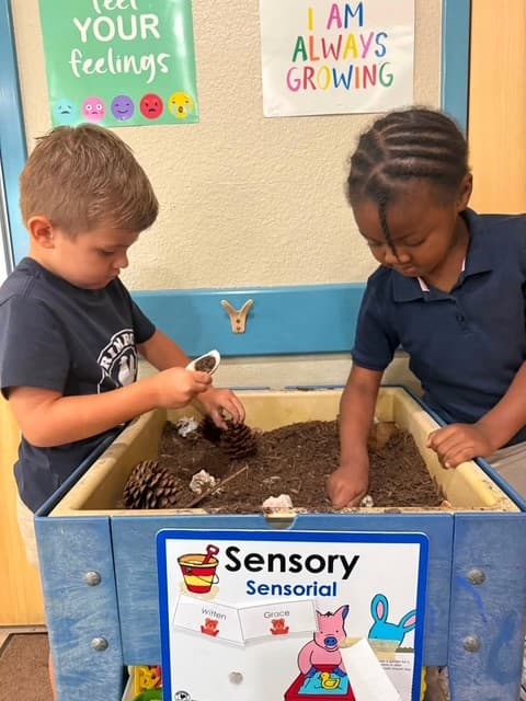 Sensory Center