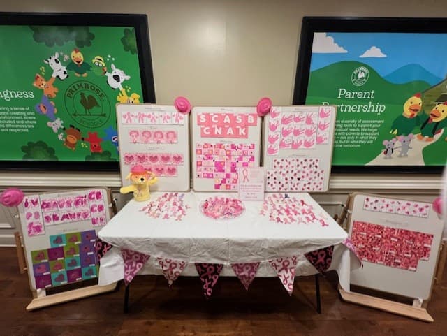 Primrose School at The Park Morrisville Cary Pink Art Work