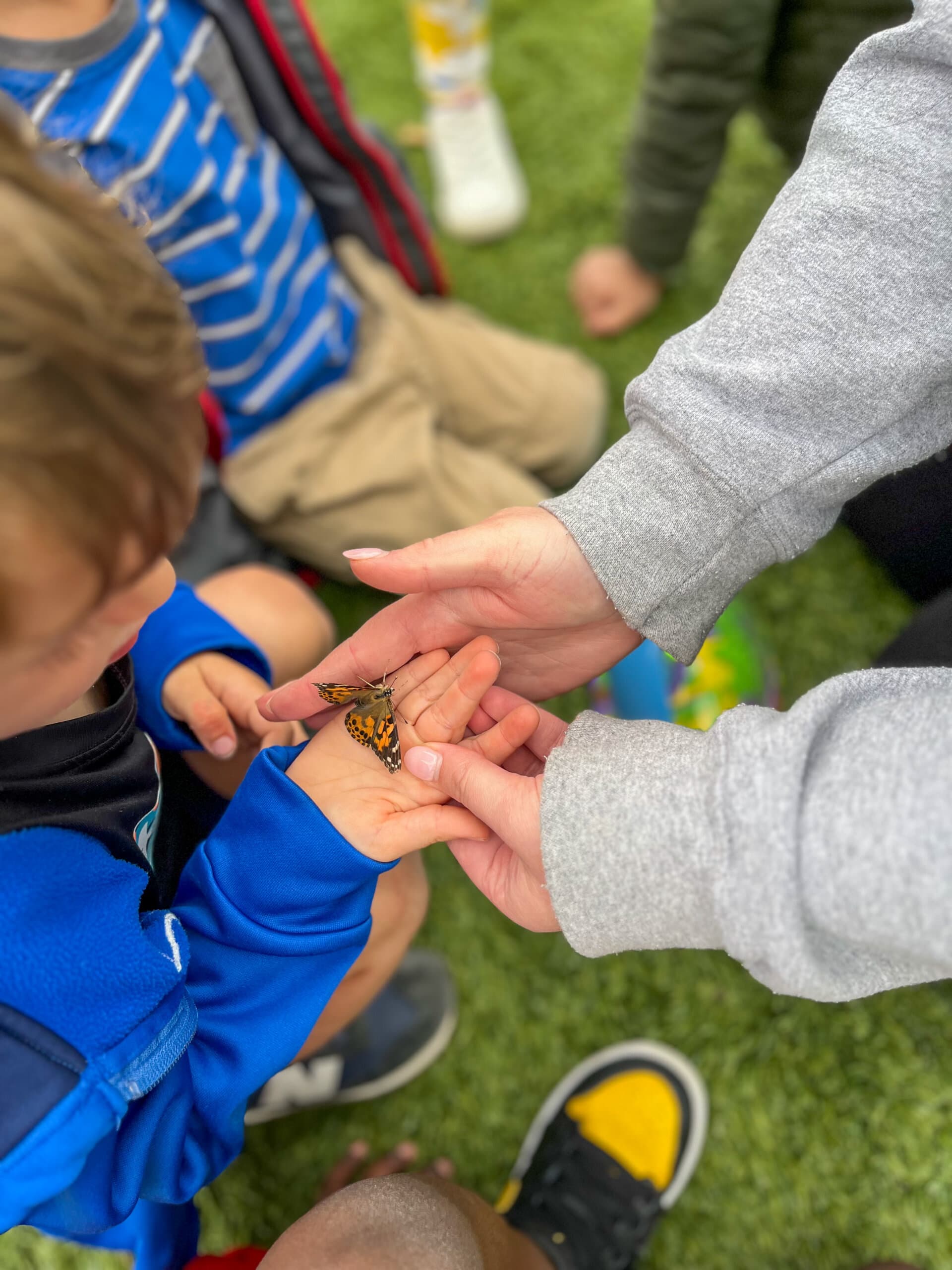 Butterfly Release