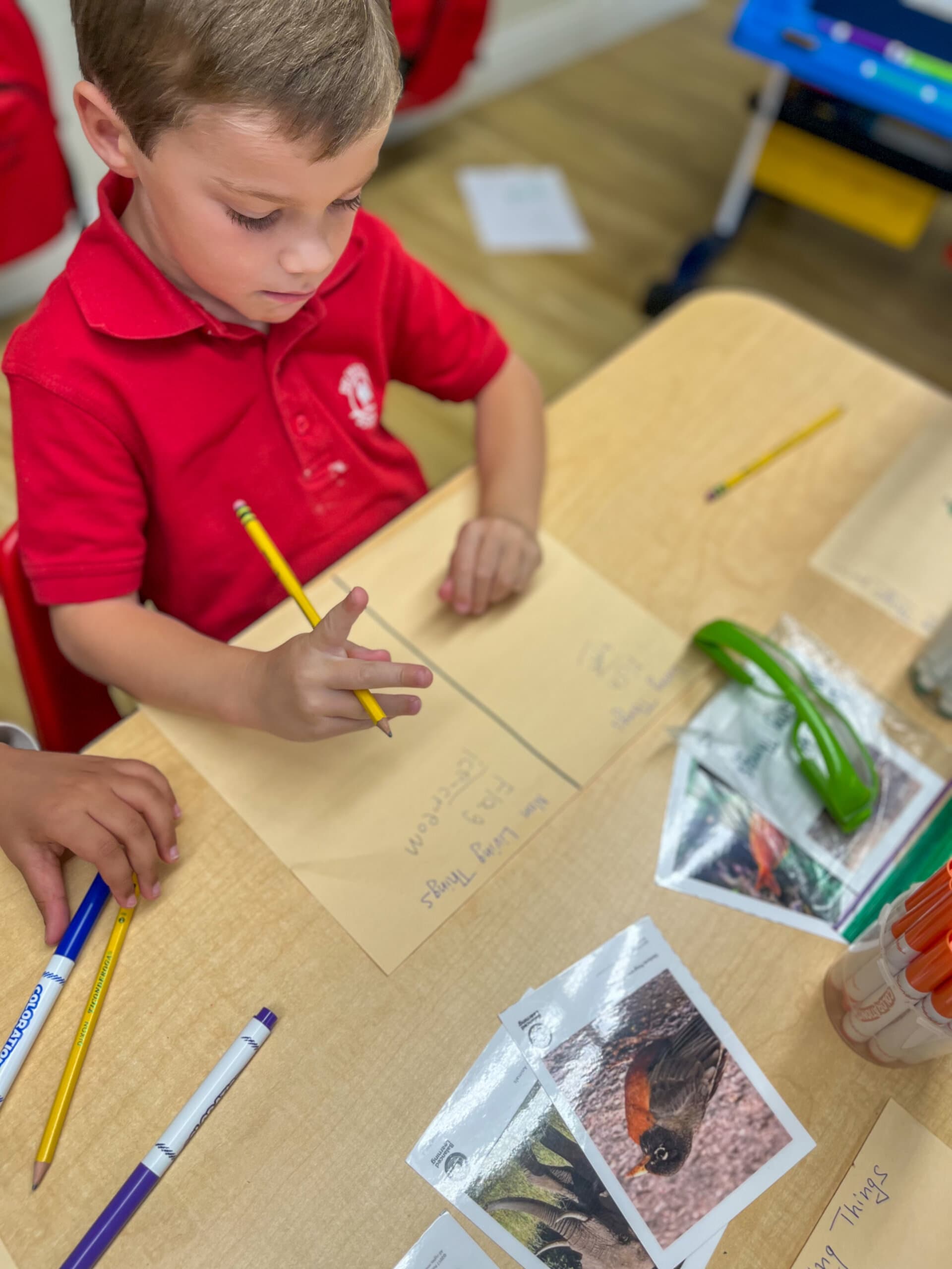 Small Group Literacy