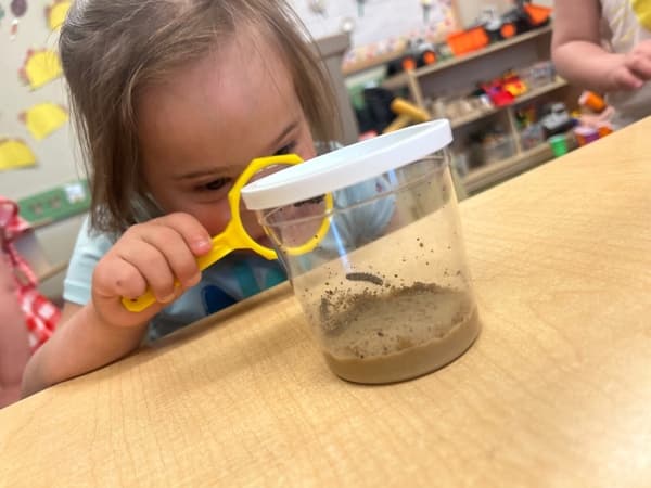 Inspecting Caterpillars