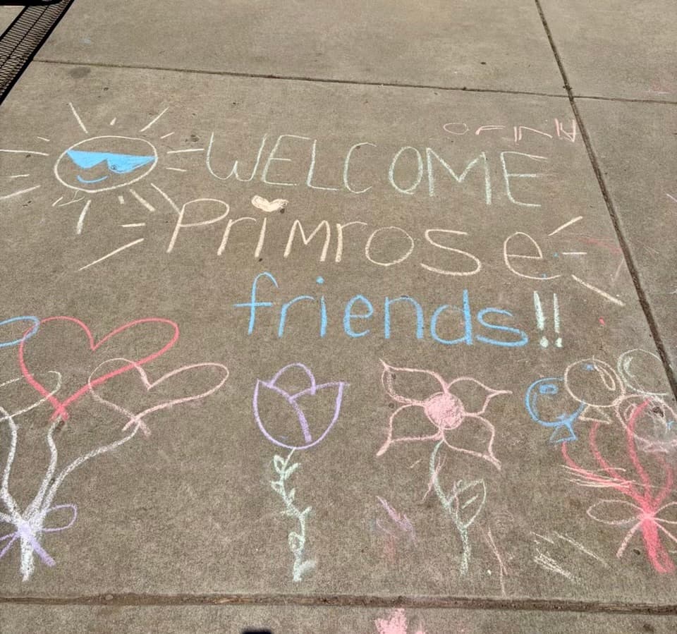 Welcome Primrose in the Park
