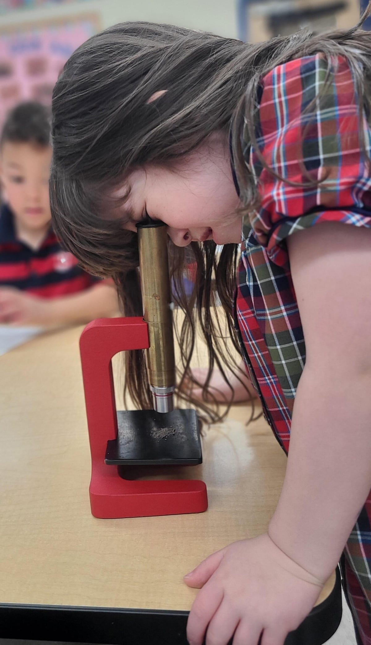 Microscope