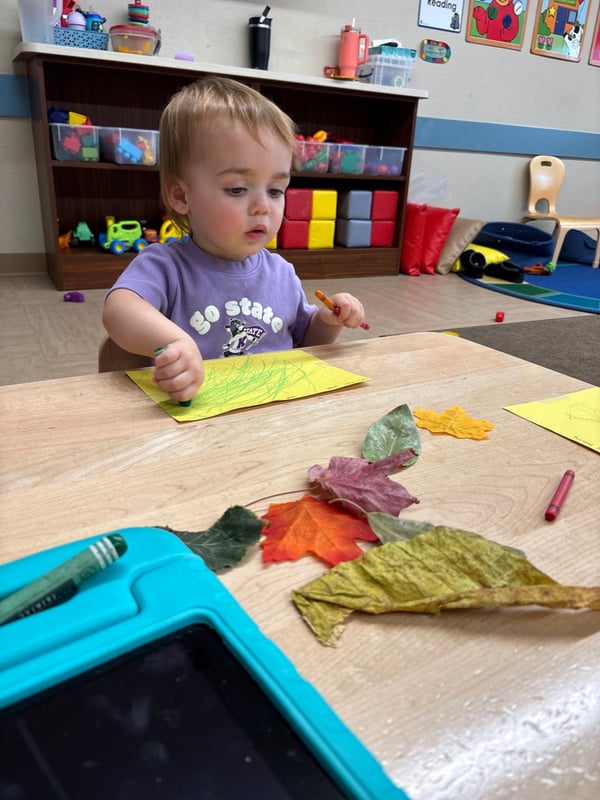 Toddler 1- Wonder Time 2 Leaves Leaf Drawing! Using collected leaves to inspire a drawing!