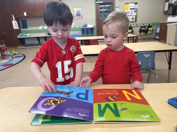 Pathways Wonder Time 1 Invite the children to compare the patterns of different insects and play a memory game.