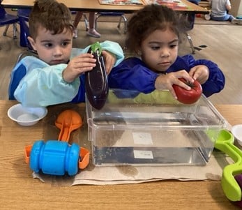 preschool pathways