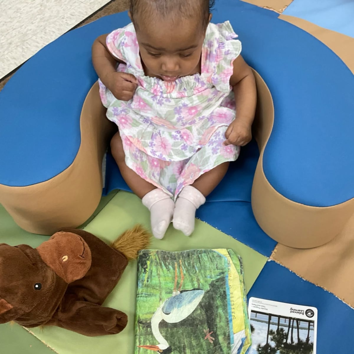 Primrose Waterside, early childhood education, best preschool in richmond texas, #primroseproud #earlylearning #primroseproud #primrose #Fall2026 #earlychildhoodeducation #earlylearning #EarlyChildhoodEducation Early Learning Childcare Center #1 Early Learning School McNeill Elementary School Frost Elementary School Adolphus Elementary School Oakland Elementary School 77406  Harvest Green Long Meadow Farms Waterside Estates Pecan Grove  Waterview Fieldstone Aliana Richond, Texas McCrary Meadows Texana Plantation Lakes of Bella Terra Grand Parkway  Foster High School Travis High School 