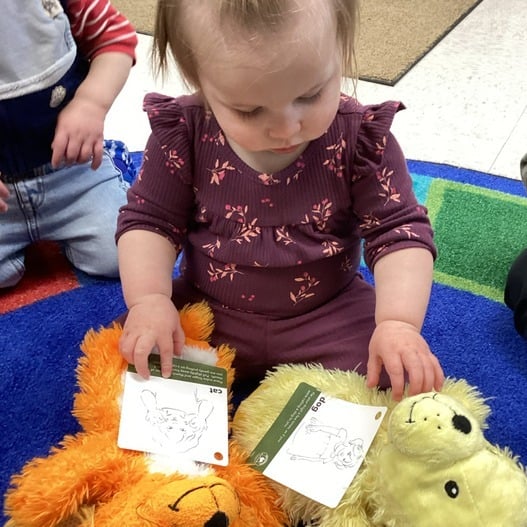 Sign Language Infants Childcare