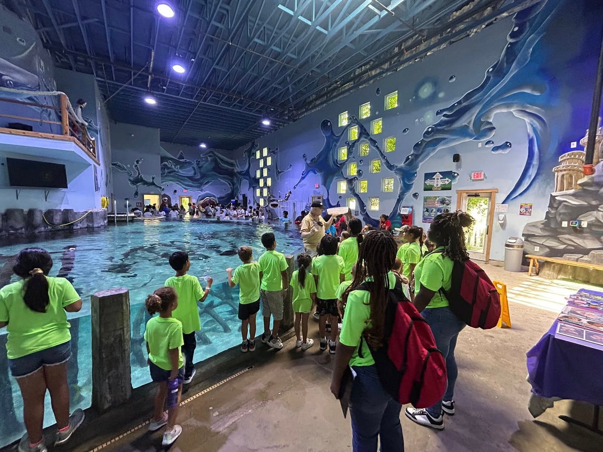 aquarium , summer camp, fun