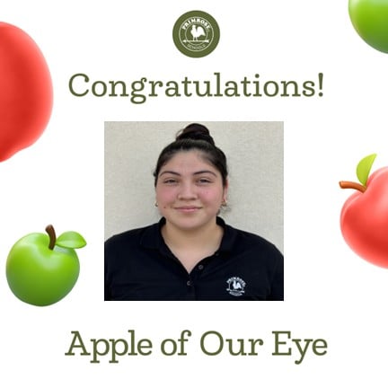 Apple of the Eye