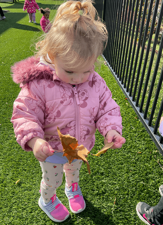 Exploring leaves!