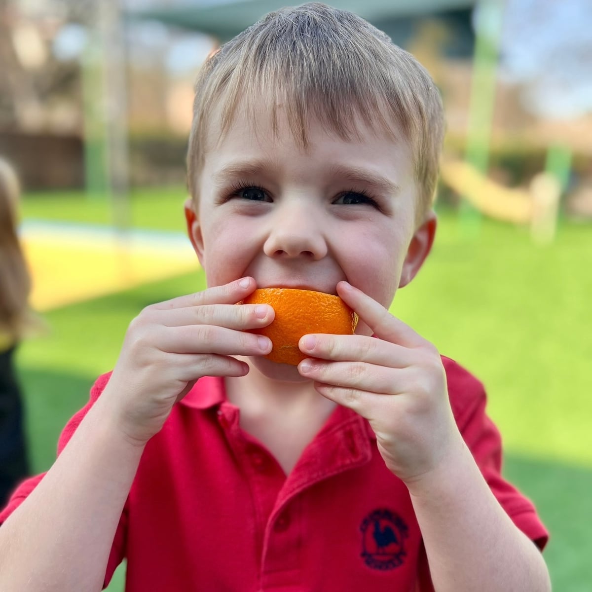 curriculum preschool