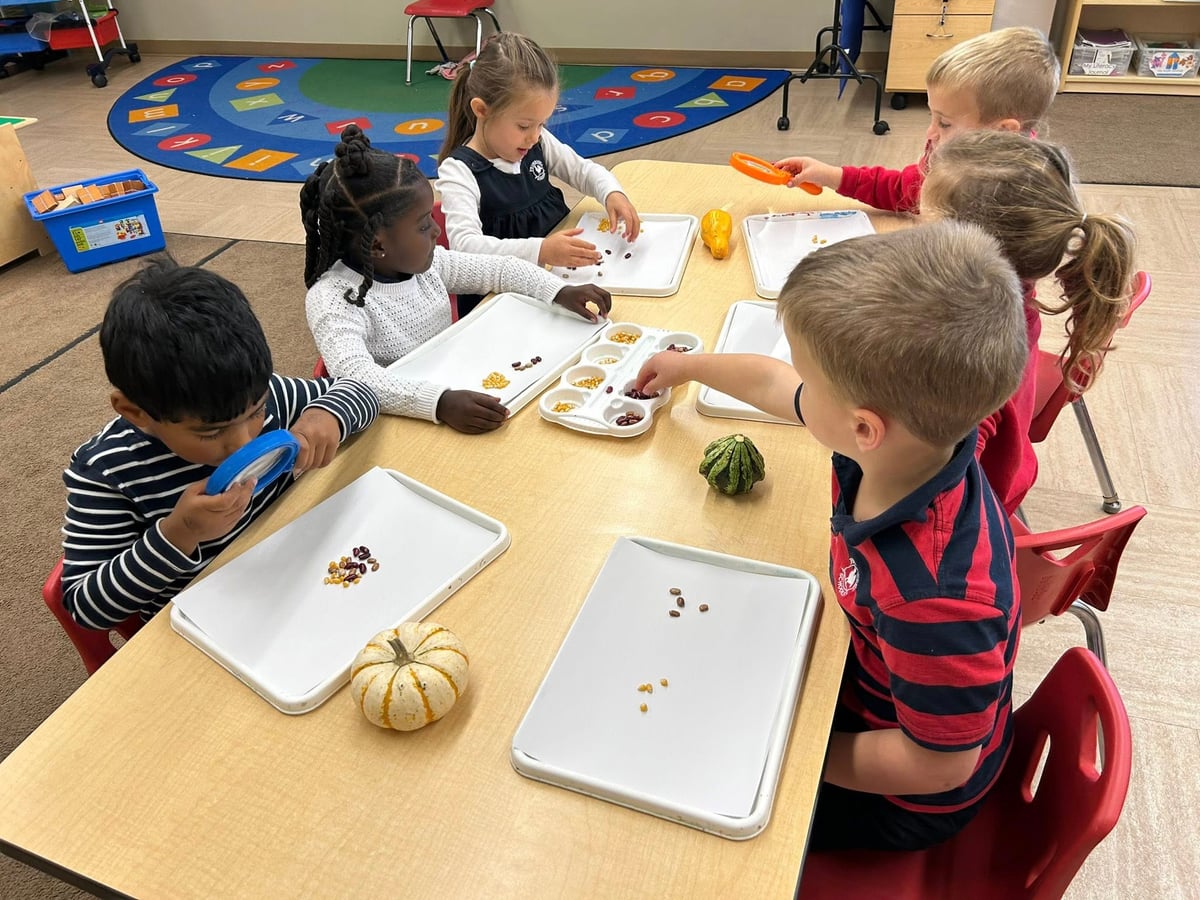children looking at different corn, beans, and squash. 