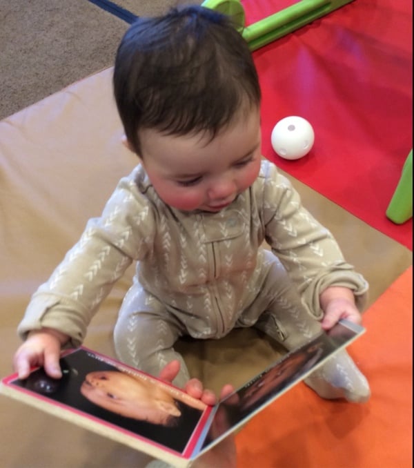 Student exploring images in a book