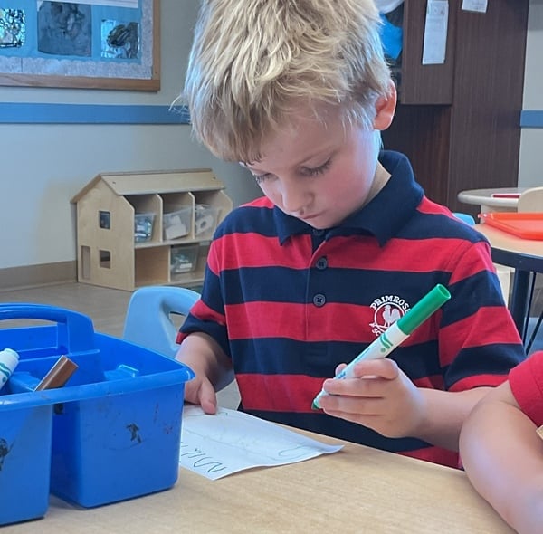 Small Literacy Group with Pre-k