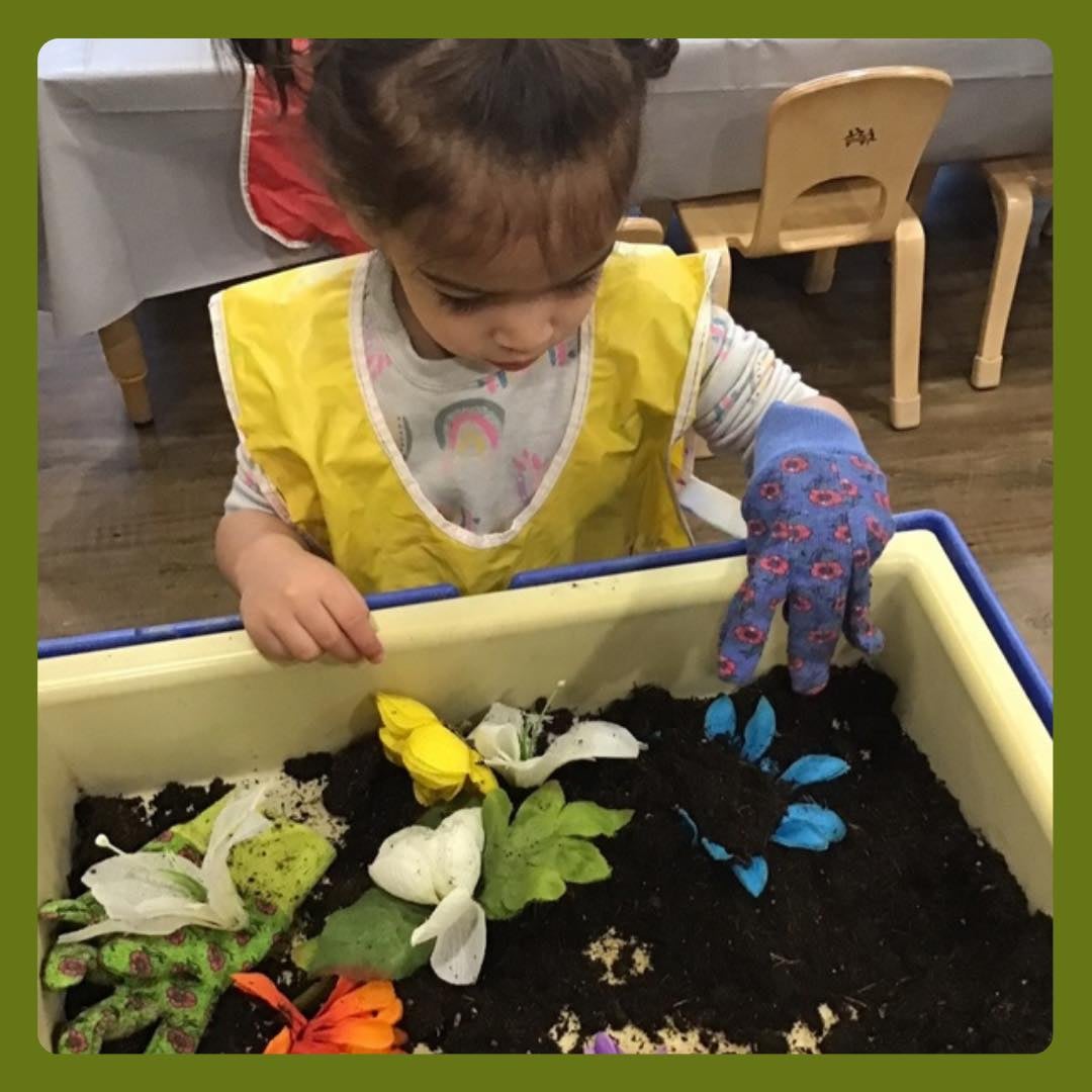 Sensory Exploration during choice learning centers