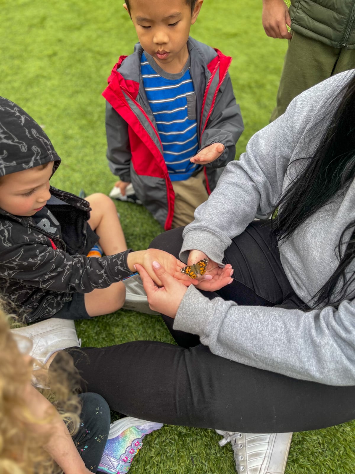 Butterfly Release