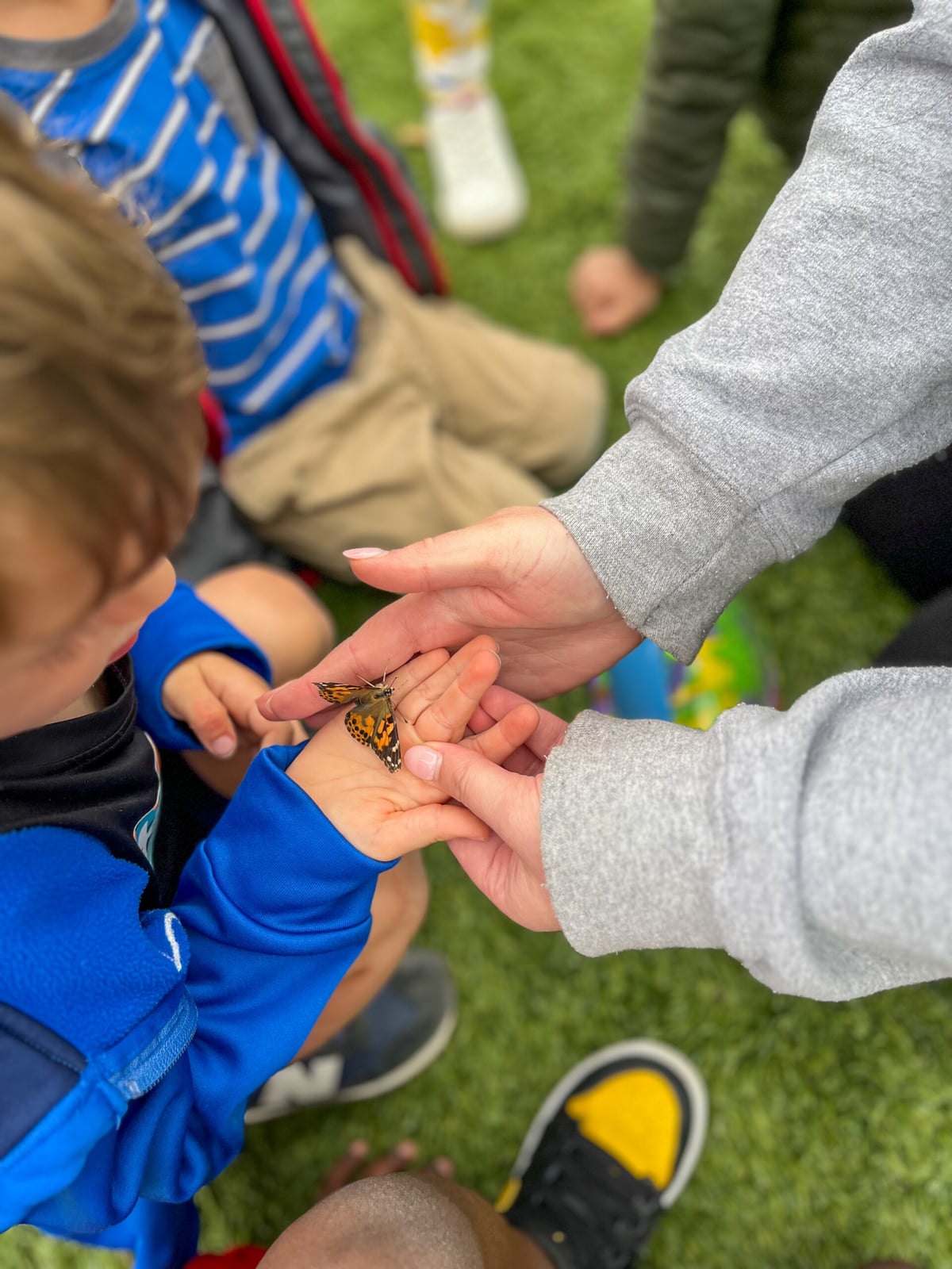 Butterfly Release