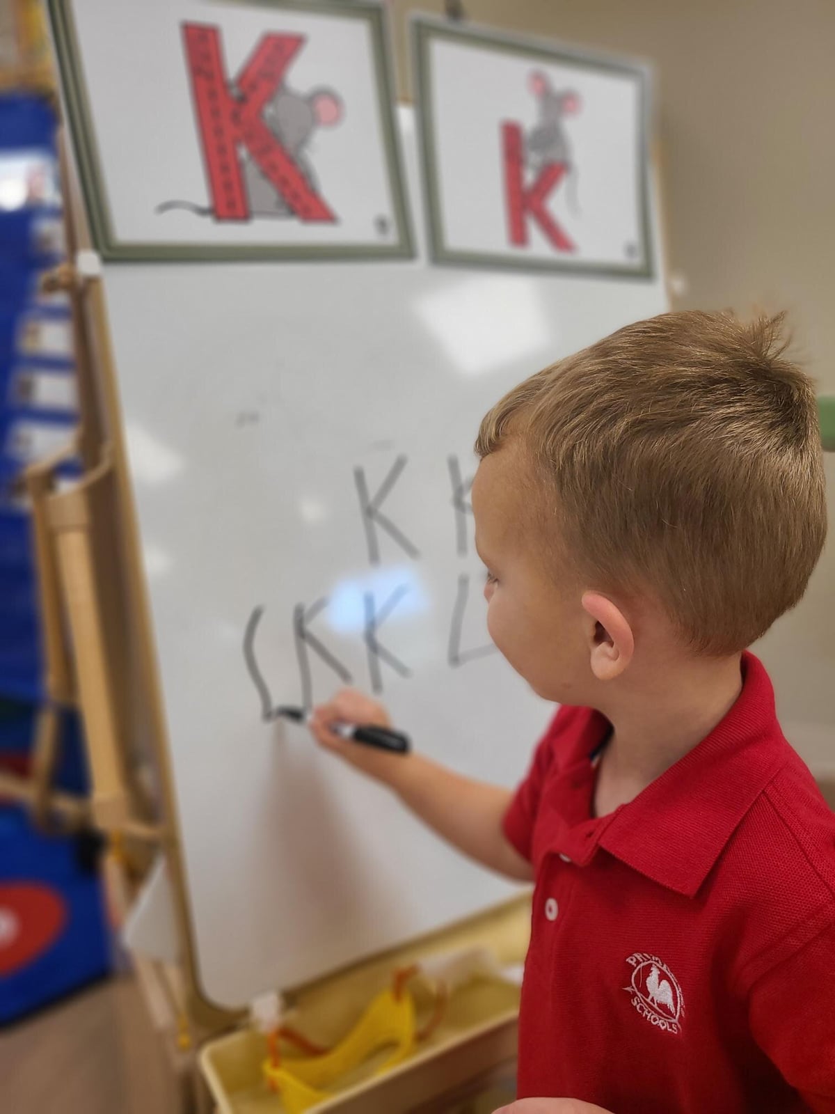 Literacy
