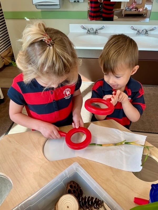 Little scientists at work in our classroom!