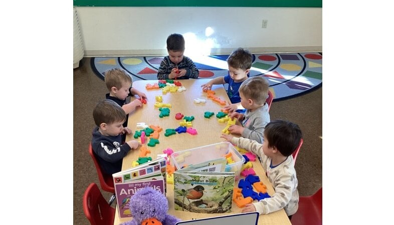 students-flying-animals