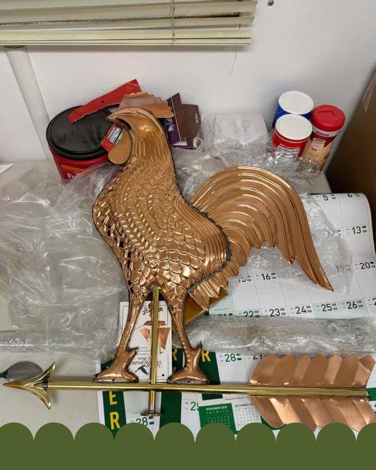 Introducing Percy the rooster