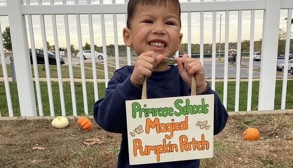 magical pumpkin patch