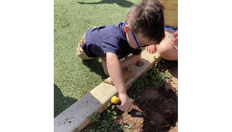 student-planting-banana
