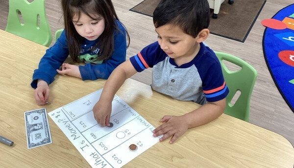 Pretend shopping games