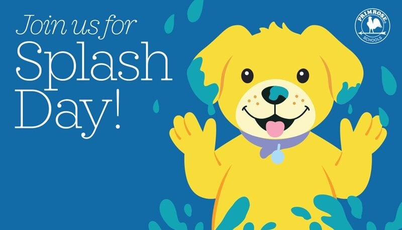Splash Day